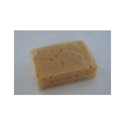 Natural sponge