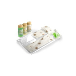 Acrytablett transparent - 10 units - Nature