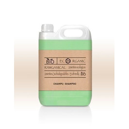 Shampoo com aroma de menta, frasco de 5L