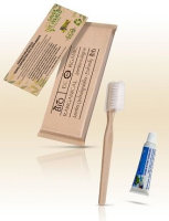 Dental kit: toothbrush and toothpaste in tube