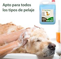 Hundeshampoo 5L